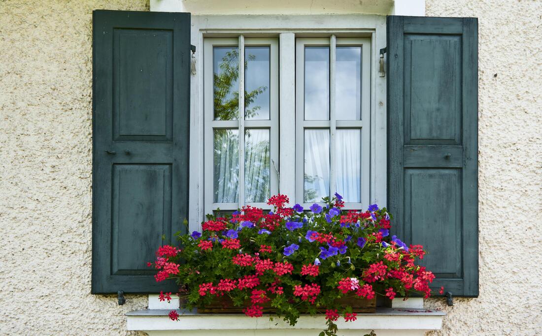 tint window with flowers
